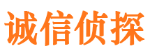 宜黄市调查公司